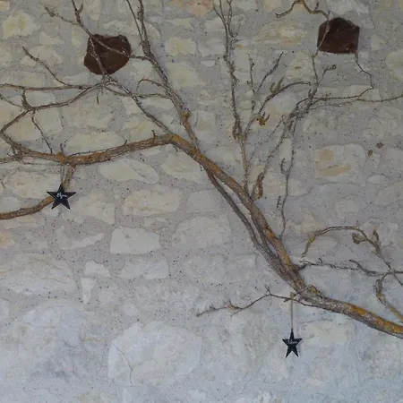 Des Papillons D'hotes Fargues (Lot)