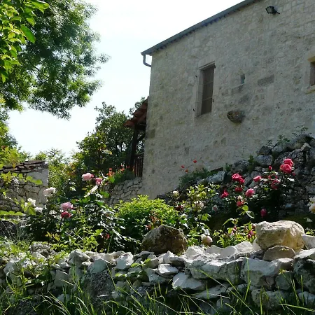 Des Papillons D'hotes *