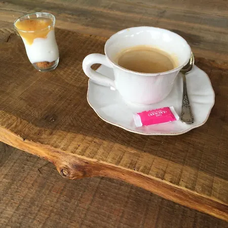 Des Papillons D'hotes Oda ve Kahvaltı Fargues (Lot)