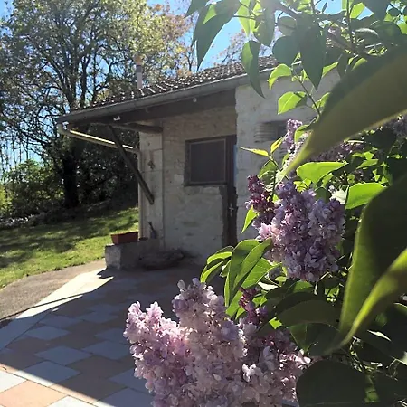Des Papillons D'hotes Fargues (Lot)