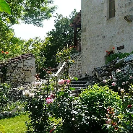 Bed & Breakfast Des Papillons D'hotes