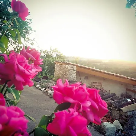 Bed & Breakfast Des Papillons D'hotes Fargues (Lot)