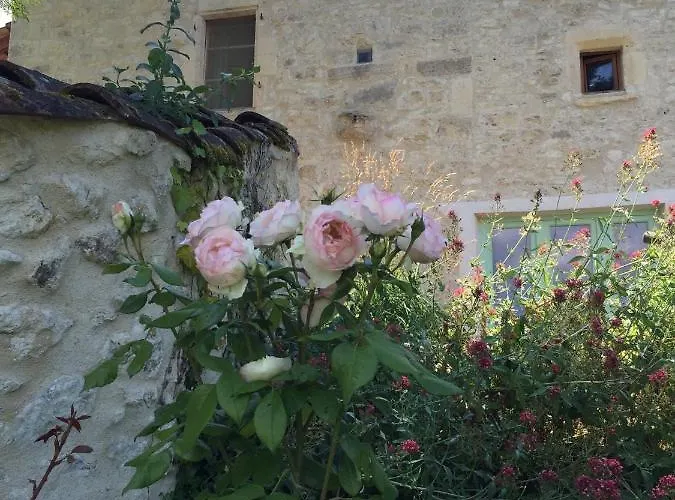 Des Papillons D'hotes Bed & Breakfast Fargues (Lot)