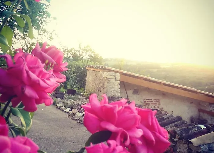 Des Papillons D'hotes * Fargues (Lot)