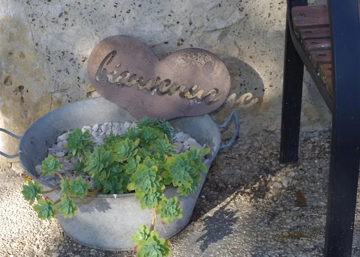 Des Papillons D'hotes *