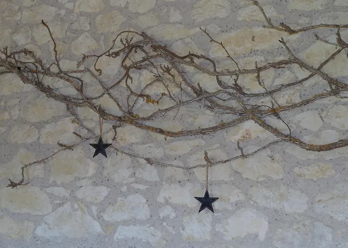 Des Papillons D'hotes * Fargues (Lot)